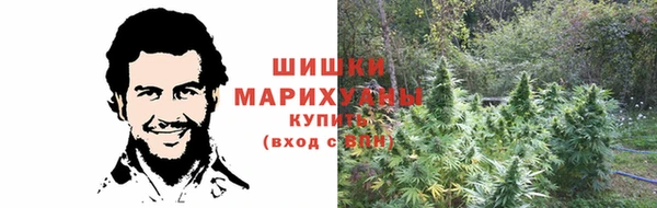 сатива Баксан