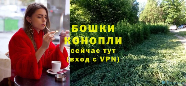 сатива Баксан