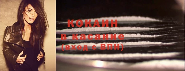 сатива Баксан