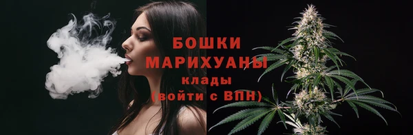 сатива Баксан