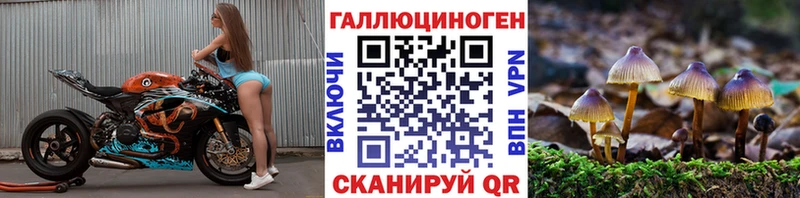 магазин продажи наркотиков  Певек  omg сайт  Псилоцибиновые грибы мицелий 