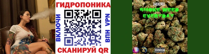 купить сайты МЕГА tor Каннабис SATIVA & INDICA Певек